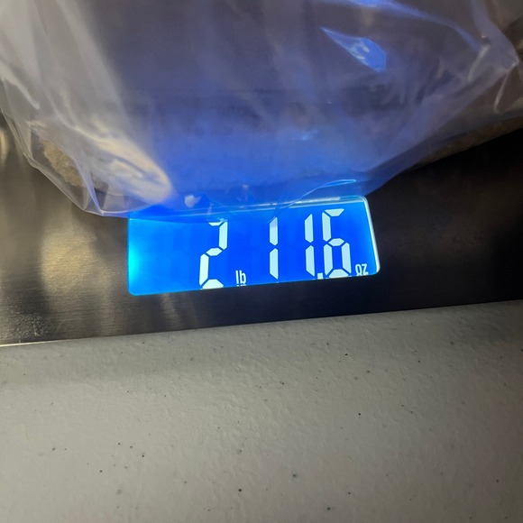 Sorel Water Fall NL1964-250 Tan Suede Waterproof Winter Boots Women 7 Thinsulate - Picture 10 of 10